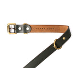 buy dog collar online