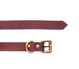 dog collar belt