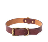best dog collar