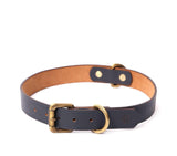 buy dog collar belt