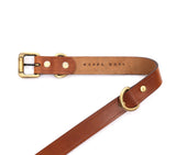 dog collar online