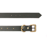 buy dog belts online india
