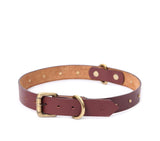 best dog belts online
