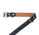 dog belts online india