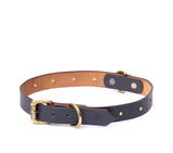 dog belts online