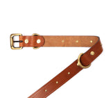 buy leather dog belts online india