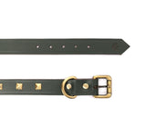 buy dog collar belt online
