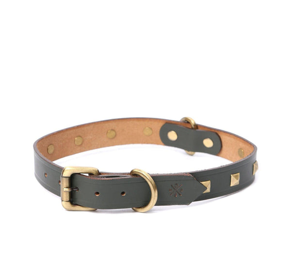 leather collars for dog
