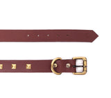 dog collar leather