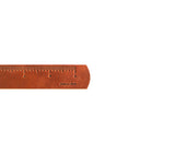 ruler india