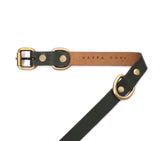 buy leather collar online