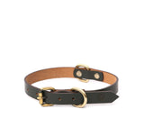 buy leather collar