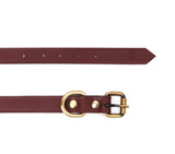 shop leather collar