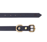 small dog collars