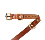 buy luxury dog collar online