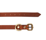 best luxury dog collar