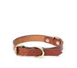 buy luxury dog collar