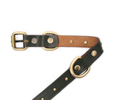 smart dog collar