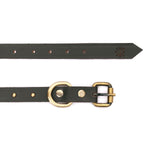 designer collar