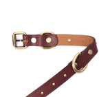 buy designer collar