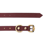 buy designer collar online