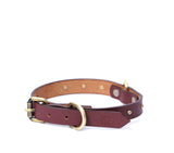designer collar online