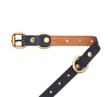 best dog collars online