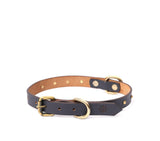 best dog collars