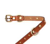 leather designer collar