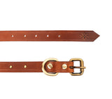 leather designer collar online