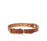 best designer collar