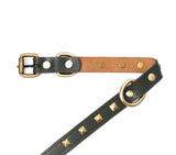 a dog collar