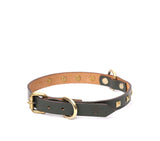dog collar