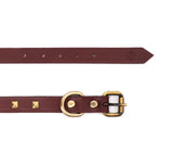 dog collar with name