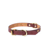 dog neck belt
