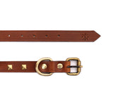 dog neck belt with name