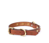 pet collars