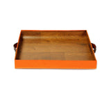 premium tray with handles
