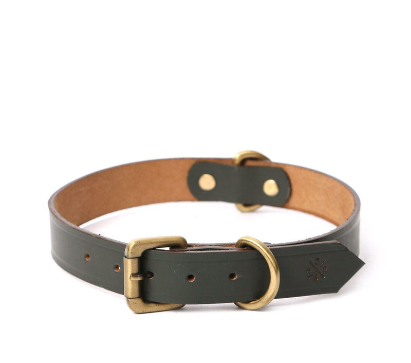 buy dog collar