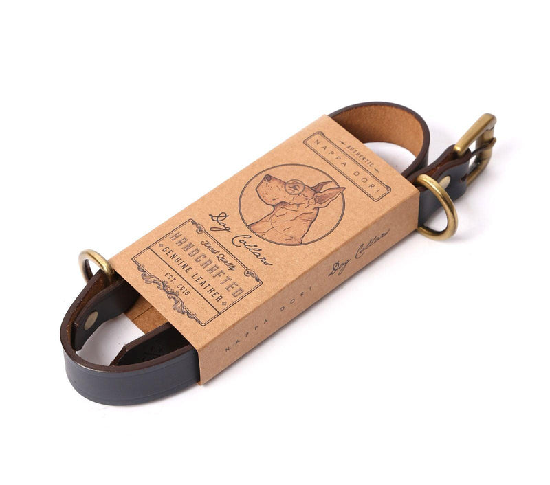 buy collar for dogs online india