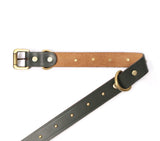 buy dog belts online