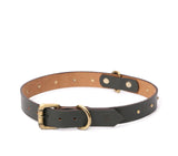 best dog belts