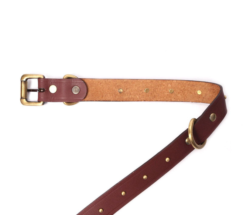 leather dog belts