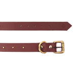 leather dog belts online