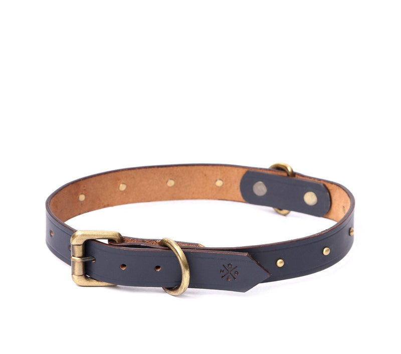 dog belts online