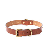 buy leather dog belts online