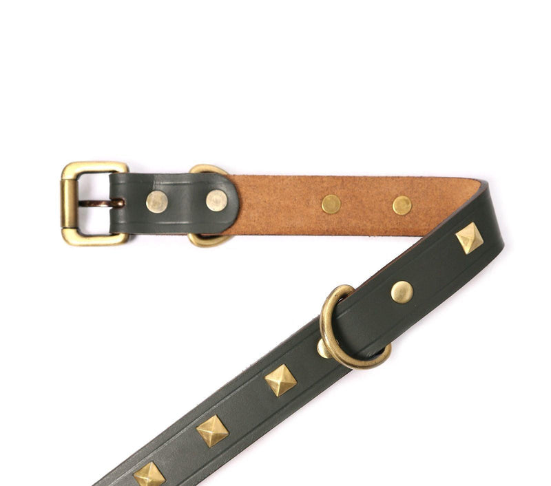 dog collar belt