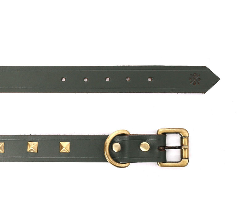 buy dog collar belt online