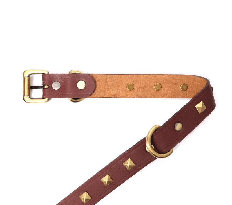 buy dog collar belt online india