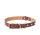 buy dog collar belt